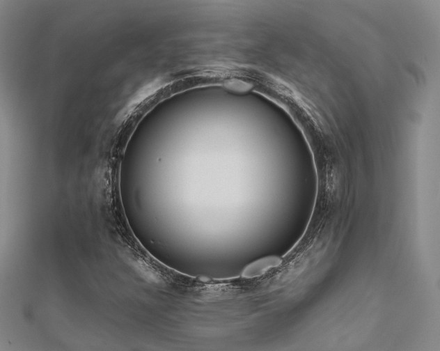 X0000112371304200908131508