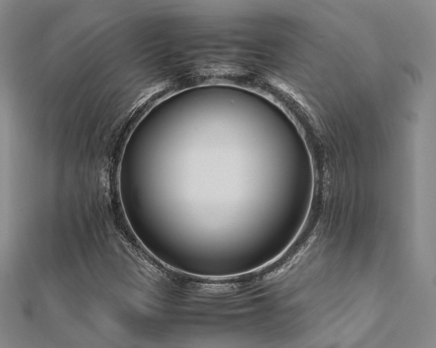 X0000112371305200908131508