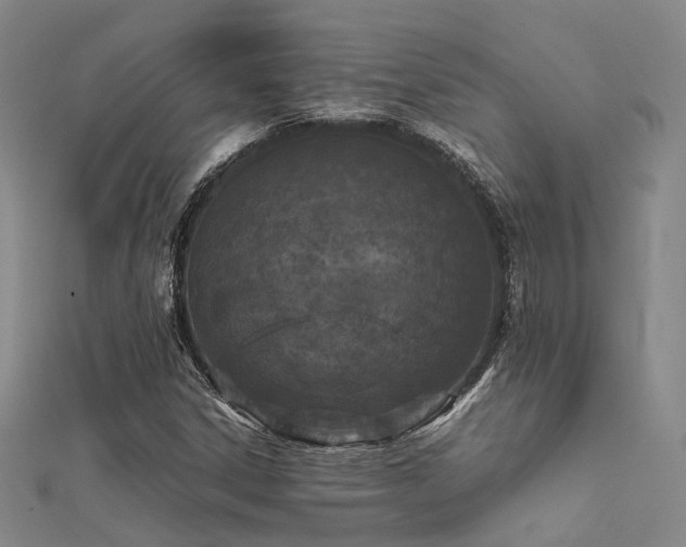 X0000112371306200908131508