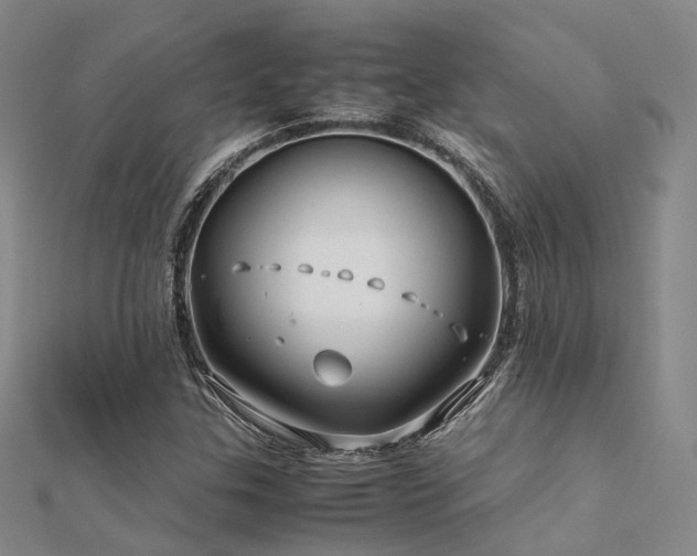 X0000112371307200908131508