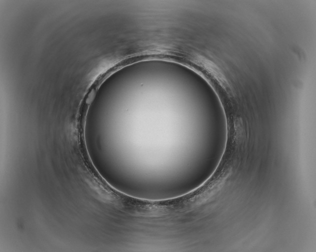 X0000112371308200908131508