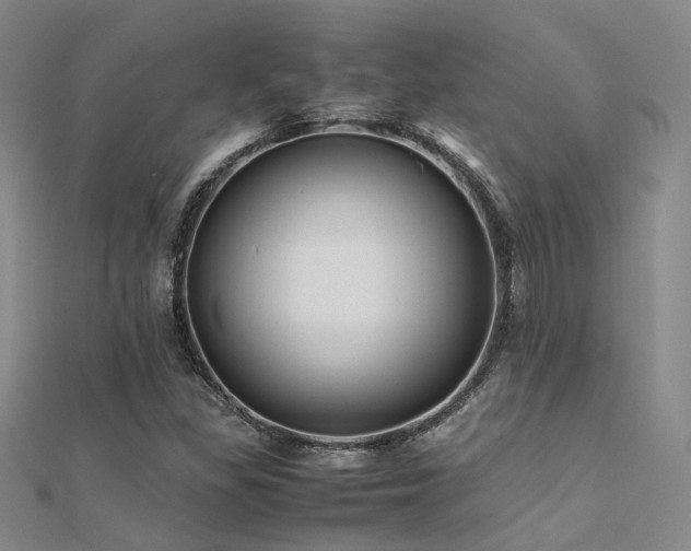 X0000112371309200908131509
