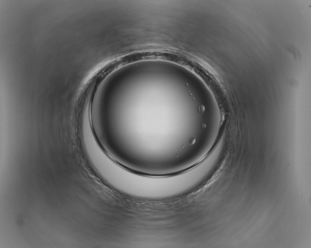 X0000112371310200908131509