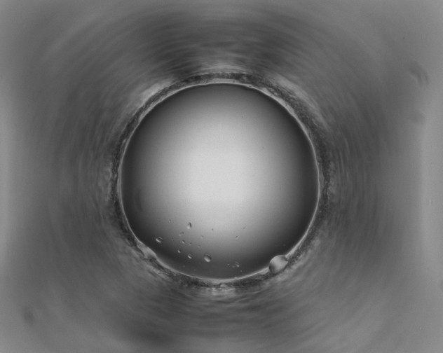X0000112371313200908131509