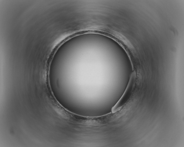 X0000112371316200908131509