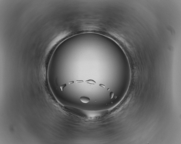 X0000112371317200908131509