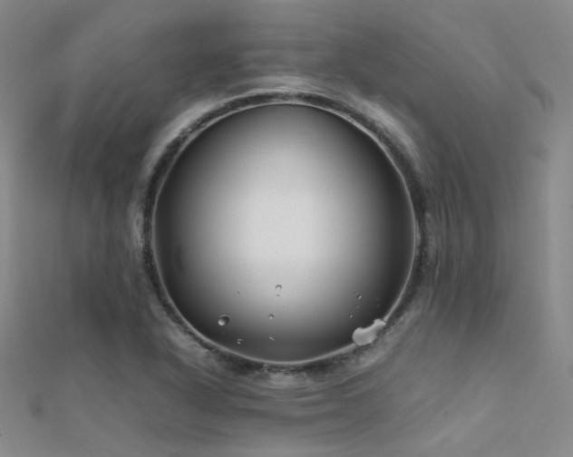 X0000112371318200908131509