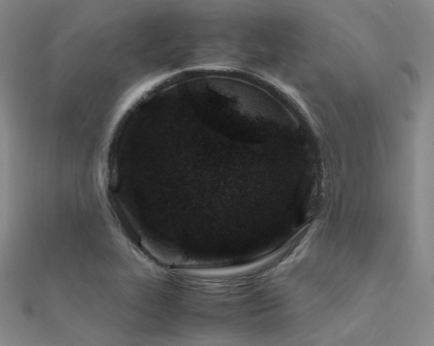 X0000112371319200908131509