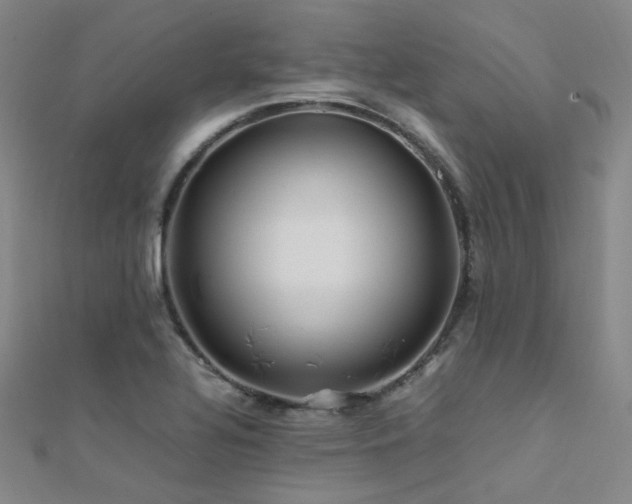 X0000112371320200908131509