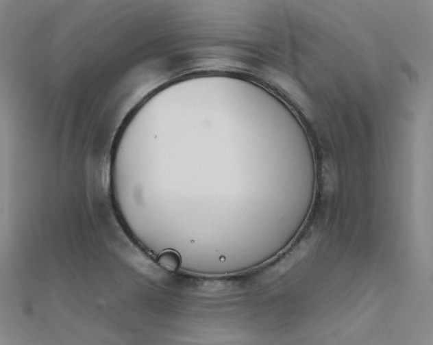 X0000112371322200908131509