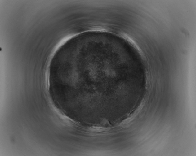 X0000112371323200908131509