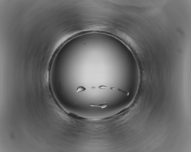 X0000112371324200908131509