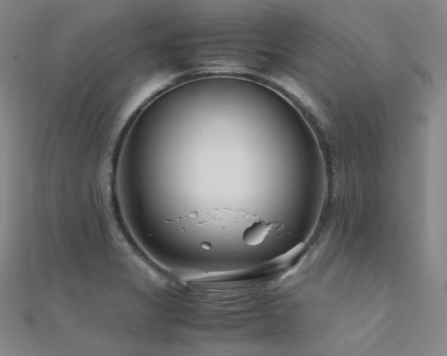 X0000112371325200908131509