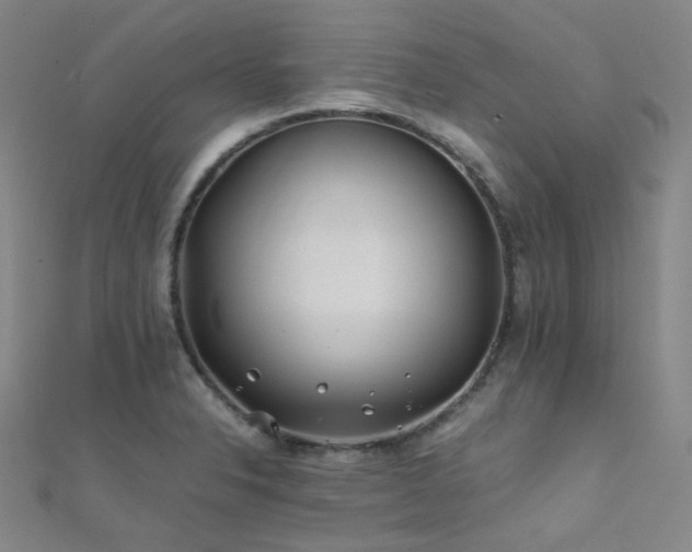 X0000112371326200908131509