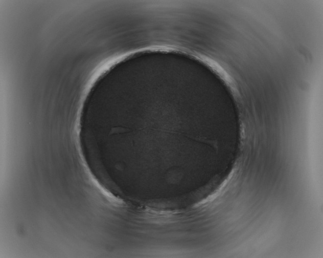 X0000112371327200908131509