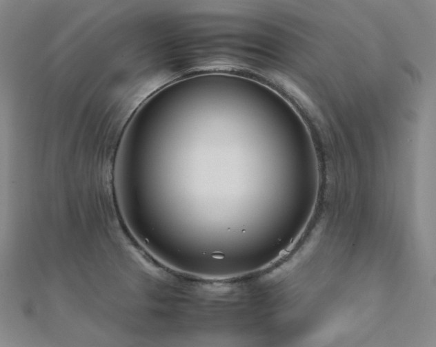 X0000112371329200908131509