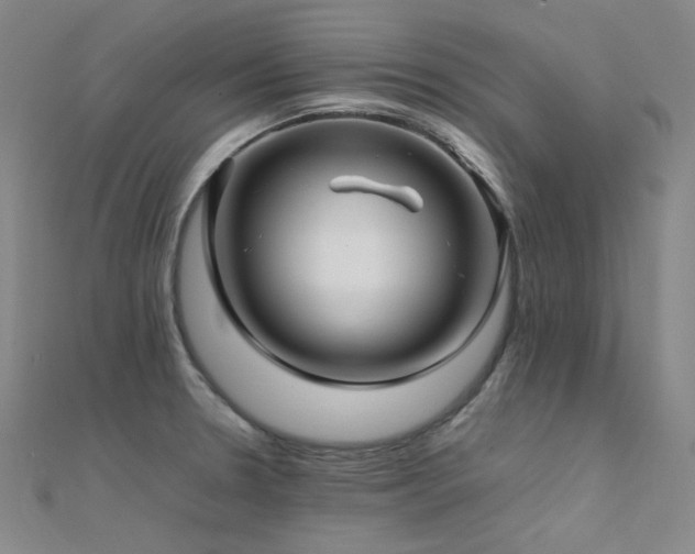 X0000112371330200908131509