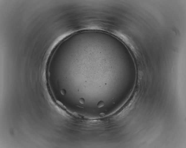 X0000112371331200908131509