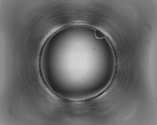 X0000112371333200908131509