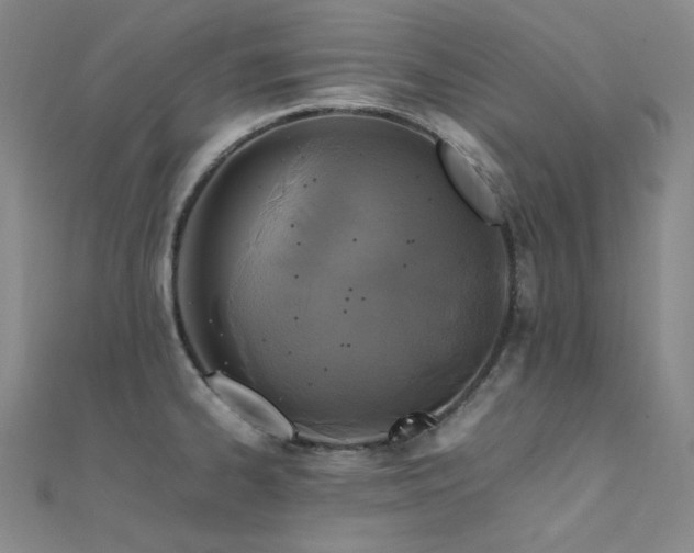 X0000112371334200908131509