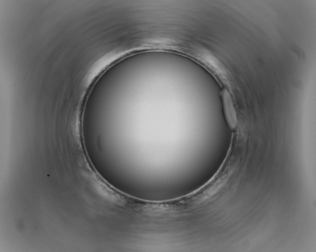 X0000112371336200908131509