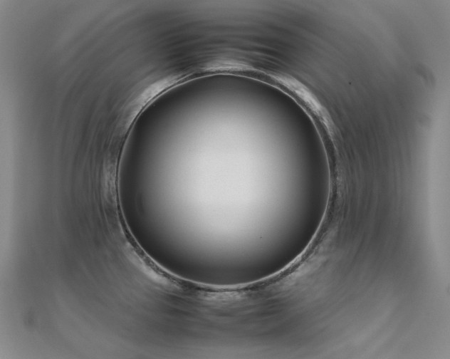 X0000112371337200908131509