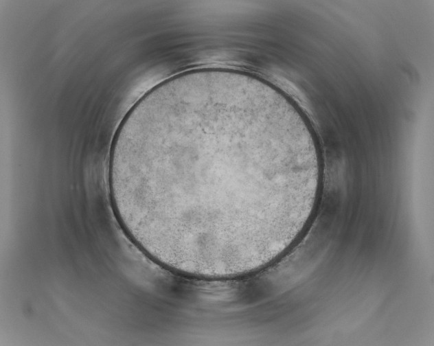 X0000112371338200908131509