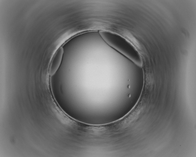 X0000112371340200908131509