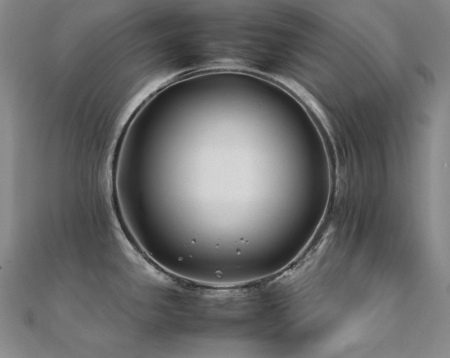 X0000112371341200908131509