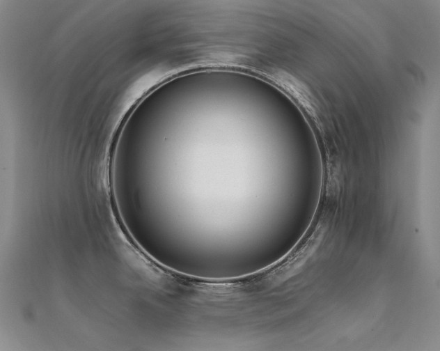 X0000112371342200908131509