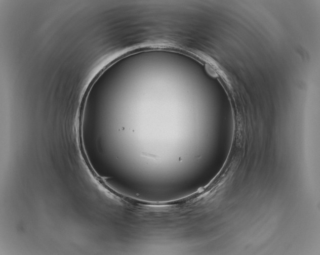 X0000112371343200908131509