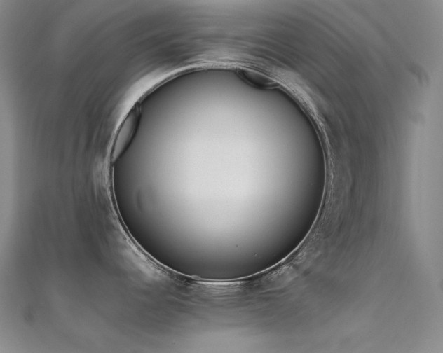 X0000112371344200908131509