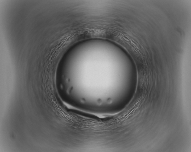 X0000112371345200908131508