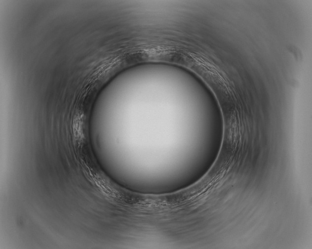 X0000112371346200908131508