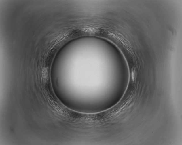 X0000112371347200908131508