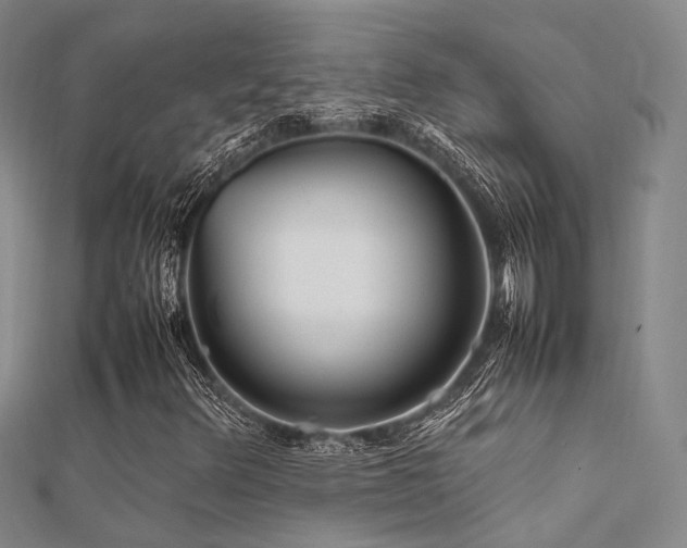 X0000112371348200908131508