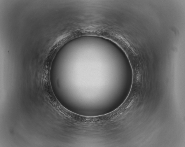 X0000112371350200908131508