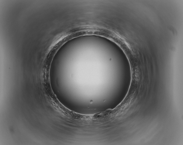X0000112371352200908131508