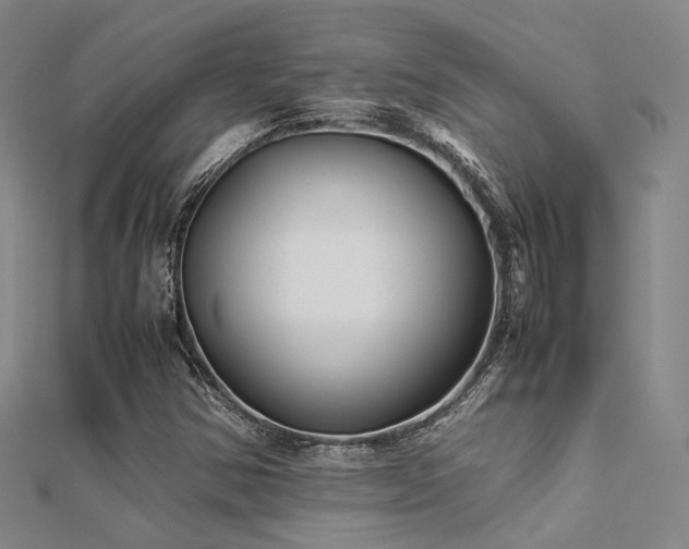 X0000112371354200908131508