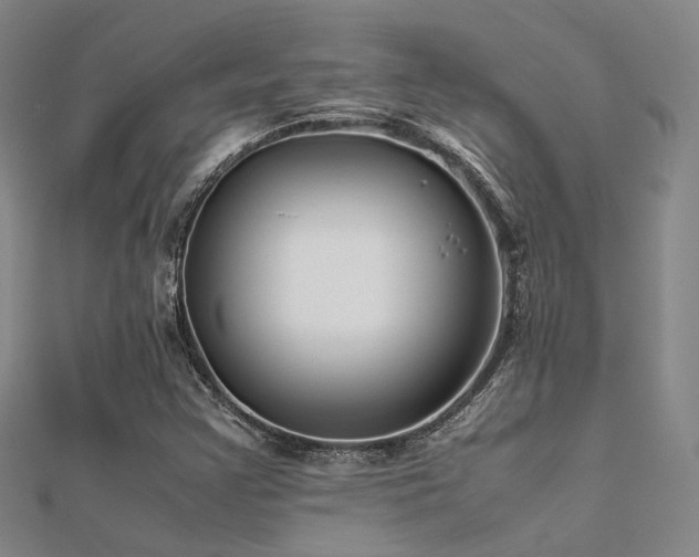 X0000112371355200908131508