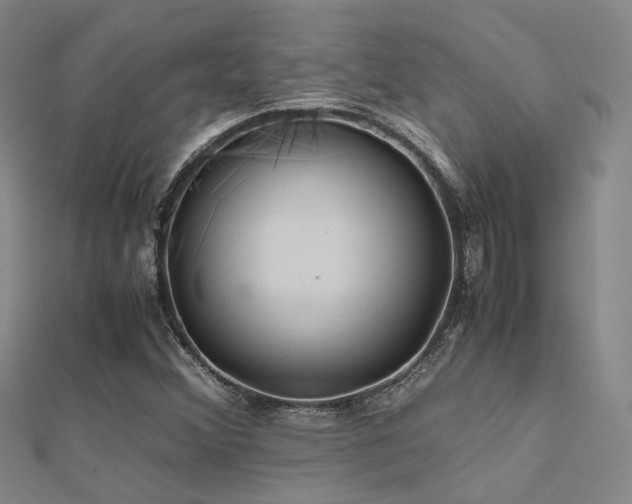 X0000112371356200908131508