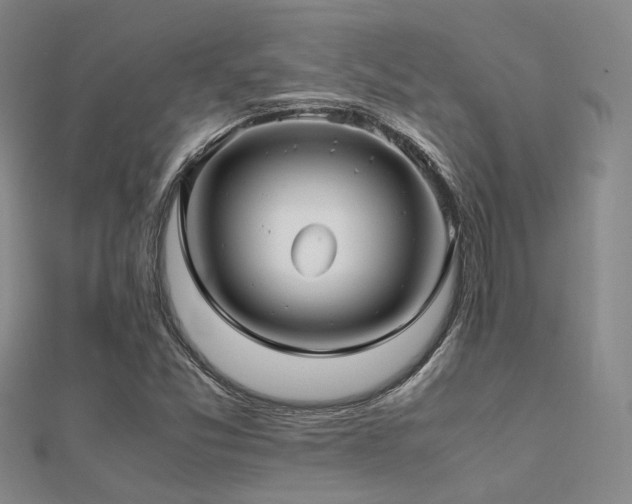 X0000112371357200908131508