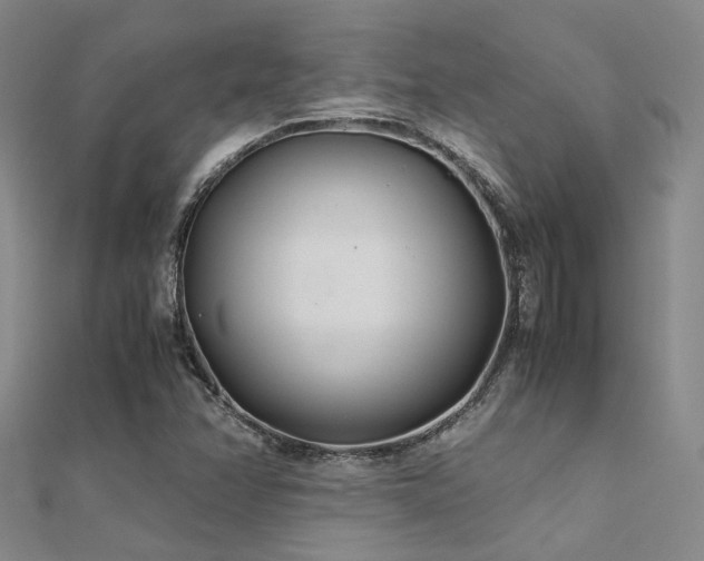 X0000112371358200908131508