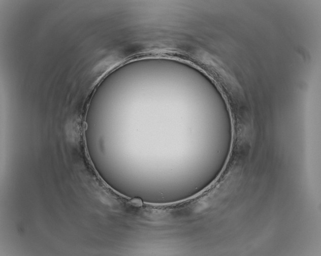 X0000112371361200908131508