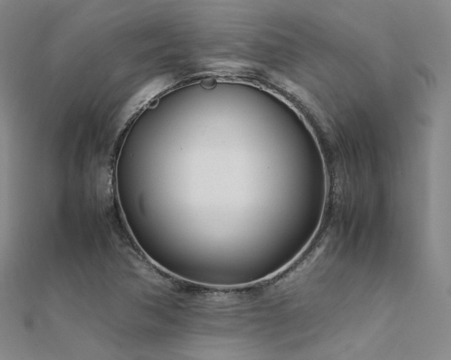 X0000112371362200908131508