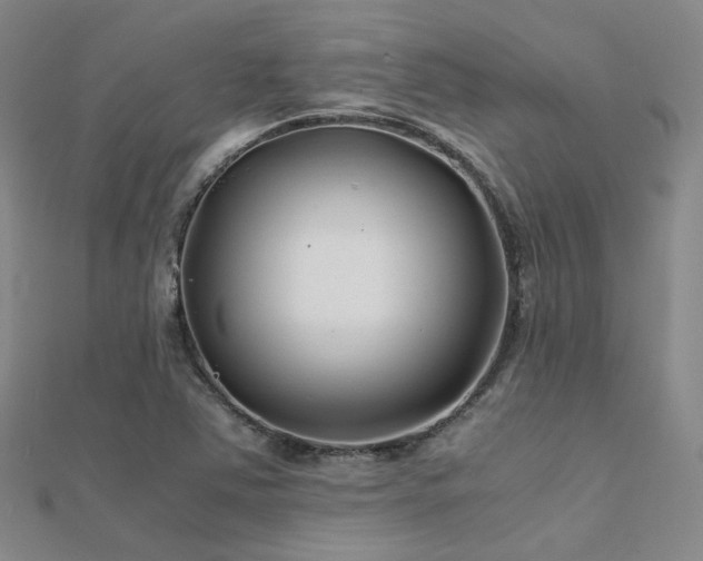 X0000112371363200908131508