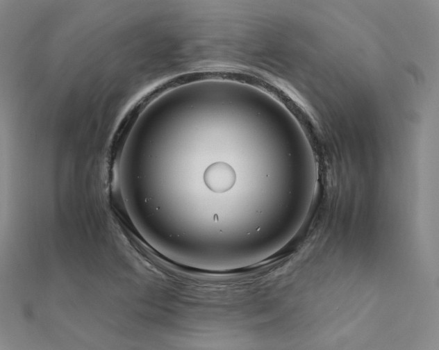 X0000112371364200908131508