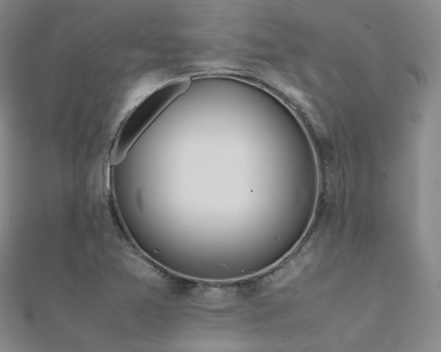 X0000112371365200908131508