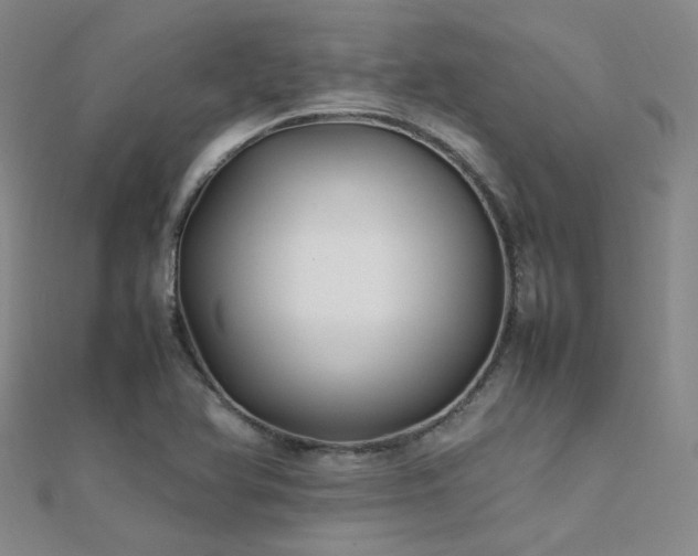 X0000112371366200908131508