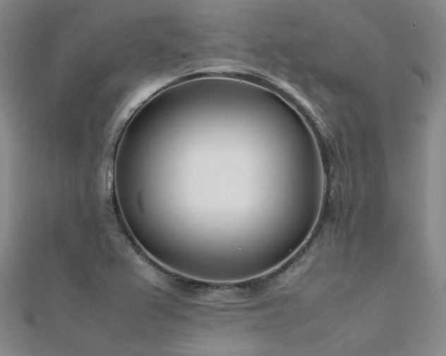X0000112371367200908131508